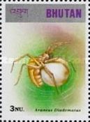 European Garden Spider (Araneus diadematus)