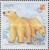 Polar Bear (Thalactos maritiumus)