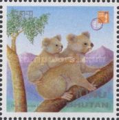 Koala (Phascolarctos cinereus)