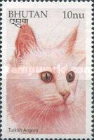 Turkish Angora (Felis silvestris catus)
