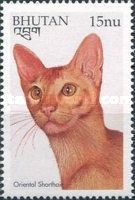 Oriental Shorthair (Felis silvestris catus)