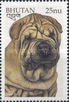 Shar Pei (Canis lupus familiaris)