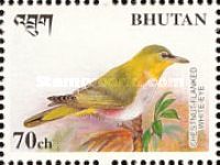 Chestnut-flanked White-eye (Zosterops erythropleurus)