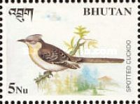 Great Spotted Cuckoo (Clamator glandarius)
