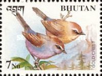Goldcrest (Regulus regulus)