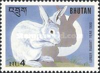 European Rabbit (Oryctolagus cuniculus domesticus)