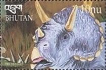 Triceratops