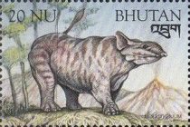 Moeritherium