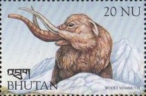 Wooly Mammoth (Mammuthus primigenius)