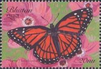 Viceroy (Limenitis archippus)