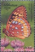 Great Spangled Fritillary (Speyeria cybele)