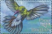 Glittering-throated Emerald (Amazilia fimbriata)