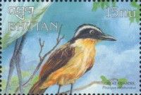 Great Kiskadee (Pitangus sulphuratus)