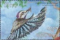 Cuban Green Woodpecker (Xiphidiopicus percussus)