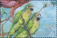 Brown-throated Conure (Eupsittula pertinax)
