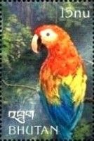 Scarlet Macaw (Ara macao)