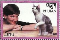 Woman and Cat (Felis silvestris catus)