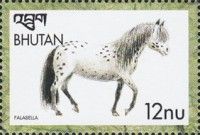 Falabella (Equus ferus caballus)