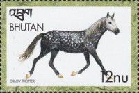 Orlovsky Trotter (Equus ferus caballus)