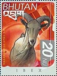 Himalayan Ibex (Capra sibirica sakeen)