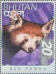 Red Panda (Ailurus fulgens)