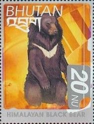 Asiatic Black Bear (Ursus thibetanus)