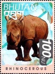 White Rhinoceros (Ceratotherium simum)