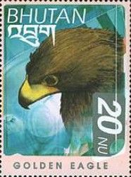 Golden Eagle (Aquila chrysaetos)