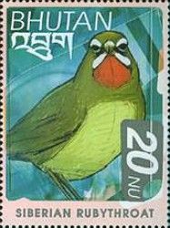 Siberian Rubythroat (Luscinia calliope)
