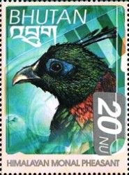 Himalayan Monal (Lophophorus impejanus)