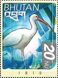 Ibis