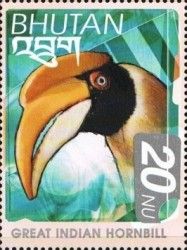 Great Hornbill (Buceros bicornis)