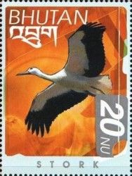 White Stork (Ciconia ciconia)