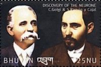 Camillo Golgi and Santiago Ramón y Cajal