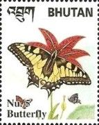 Common Swallowtail (Papillo machaon)