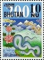 Year of the Snake