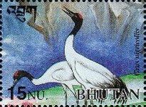 Black-necked Crane (Grus nigricollis)