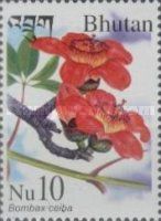 Bombax ceiba