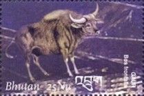 Gaur (Bos gaurus)