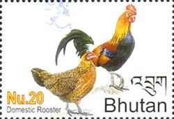 Domestic Junglefowl (Gallus gallus domesticus)