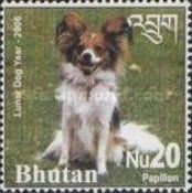 Papillon (Canis lupus familiaris)