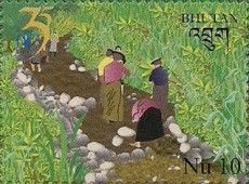 World Food Programme