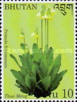 Primula sikkimensis
