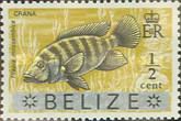 Crana (Tilapia mossambica) - Overprinted