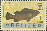 Jew Fish (Epinephelus itajara) - Overprinted