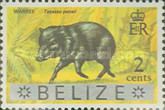 Warree (Tayassu pecari) - Overprinted
