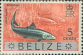 Bonefish (Albula vulpes) - Overprinted