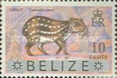 Lowland Paca (Cuniculus paca) - Overprinted