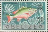 Mutton Snapper (Lutianus analis) - Overprinted