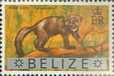 Bush Dog (Tayra barbara) - Overprinted